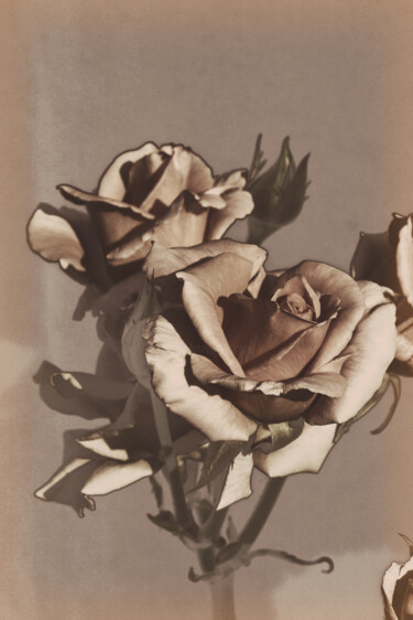 Photography titled "Flower design_13900" by Michael Vdovin, Original Artwork, Digital Photography