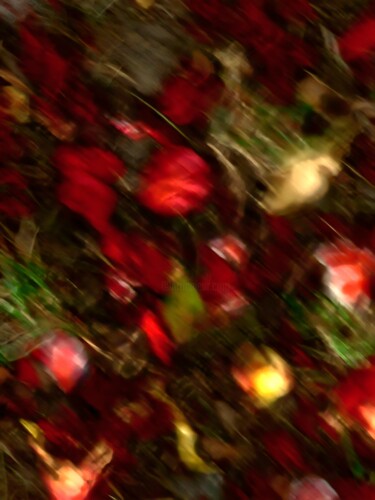 摄影 标题为“Red Flowers on Earth” 由Natalya Belalova, 原创艺术品, 光绘摄影