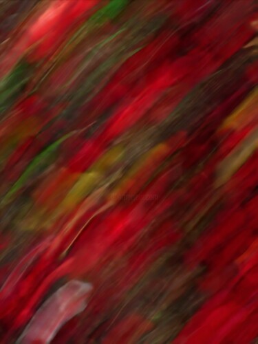 摄影 标题为“Red Flow of Flowers” 由Natalya Belalova, 原创艺术品, 光绘摄影
