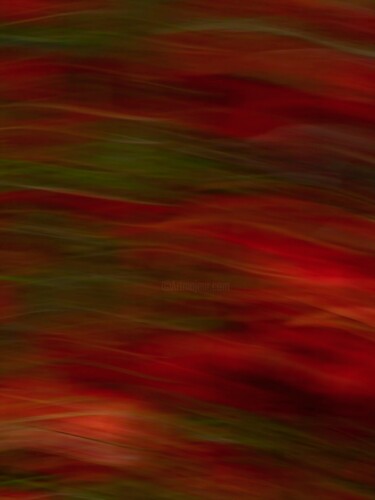 摄影 标题为“Red Lines of Light…” 由Natalya Belalova, 原创艺术品, 光绘摄影