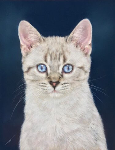 Disegno intitolato "Blue-eyed" da Irene_art, Opera d'arte originale, Pastello