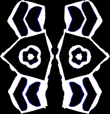 Organic Symmetry 4 摄影 标题为“Organic Symmetry 4” 由Ken Lerner, 原创艺术品, 数码摄影