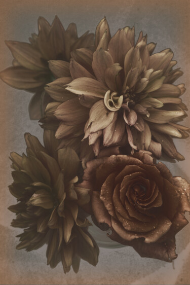 Fotografie getiteld "Flower design_15926" door Michael Vdovin, Origineel Kunstwerk, Digitale fotografie