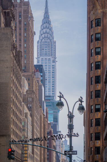 摄影 标题为“"New-York Birds"” 由Guilhem Nascimben, 原创艺术品, 数码摄影