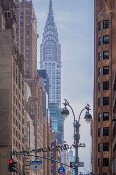 「"New-York Birds"」というタイトルの写真撮影 Guilhem Nascimbenによって, オリジナルのアートワーク, デジタル