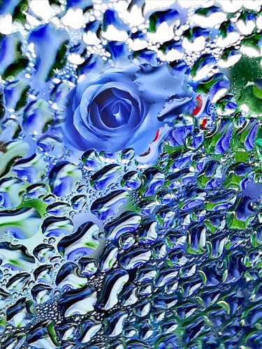 "Blue rose III" başlıklı Fotoğraf Ingrid Blaurock tarafından, Orijinal sanat, Dijital Fotoğrafçılık