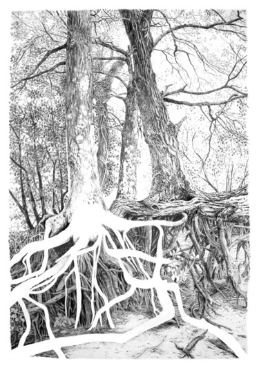 "Arbres 60" başlıklı Resim Frédéric Jammes tarafından, Orijinal sanat, Grafit