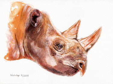 "Rhino Afrika" başlıklı Resim Lilla Varhelyi tarafından, Orijinal sanat, Mürekkep