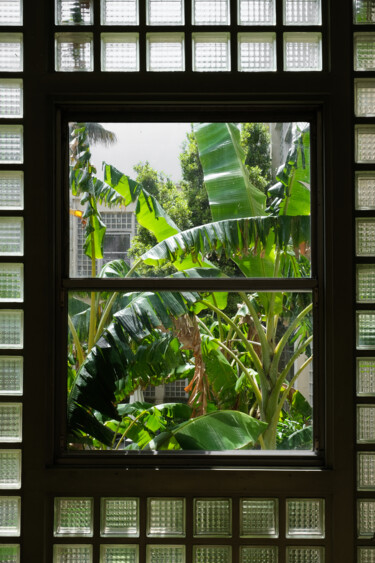 "Nature Frame" başlıklı Fotoğraf Gilliard Bressan tarafından, Orijinal sanat, Dijital Fotoğrafçılık
