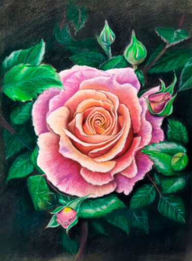 绘画 标题为“Tender Rose” 由Nurgaliy Abdigaliyev, 原创艺术品, 油