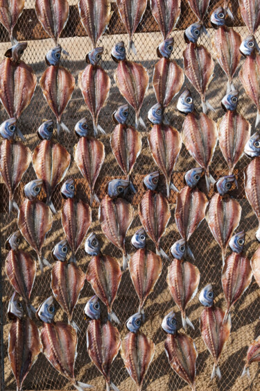 "Fish Grid" başlıklı Fotoğraf Gilliard Bressan tarafından, Orijinal sanat, Dijital Fotoğrafçılık
