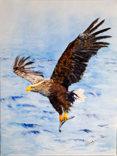Eagle with Fish in Watercolor 绘画 标题为“Eagle with Fish in…” 由Paula Bridges, 原创艺术品, 水彩 安装在其他刚性面板上