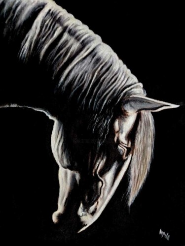 The Noble Gaze Painting titled "The Noble Gaze" by Kapila Priyantha, Original Artwork, Acrylic