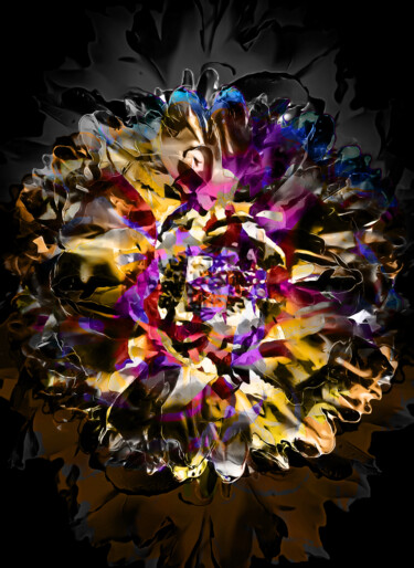 印花与版画 标题为“Petal Reverie” 由Lewis R Freitag I I I, 原创艺术品, 数字打印 安装在木质担架架上
