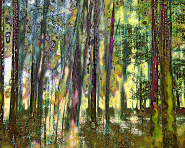 摄影 标题为“Mystifying Forrest…” 由Geert Lemmers, 原创艺术品, 数码摄影 安装在有机玻璃上
