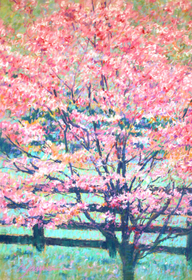 Drawing titled ""Dogwood Tree"" by Bill James Family Estate-Jo Ann James Trustee, Original Artwork, Pastel Mounted on Cardbo…