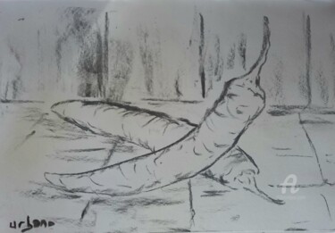 Drawing titled "Los pimientos" by Roberto Urbano, Original Artwork, Charcoal
