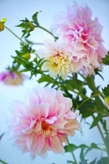 摄影 标题为“Flowerissimo_11940” 由Michael Vdovin, 原创艺术品, 数码摄影