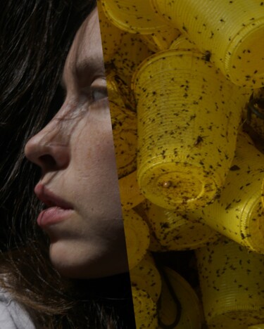 Collages titled "Synthetic skin" by Valeria Yscava, Original Artwork, Digital Photography