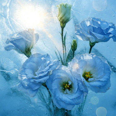 数字艺术 标题为“Ice Lisianthus” 由Alex Mir, 原创艺术品, 2D数字工作