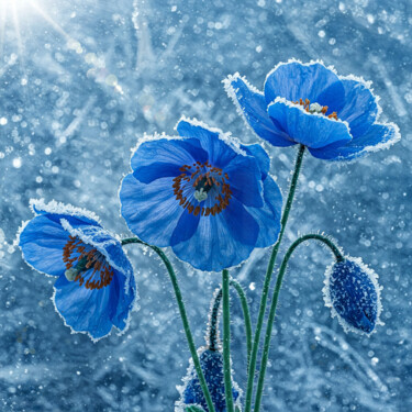 数字艺术 标题为“Ice Poppies 2” 由Alex Mir, 原创艺术品, 2D数字工作