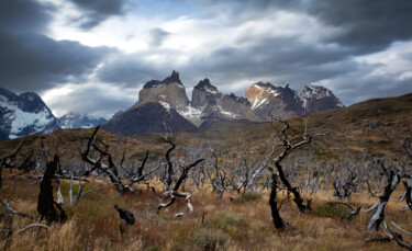 Torres del Paine after the fire 绘画 标题为“Torres del Paine af…” 由Sergey Agapov, 原创艺术品, 数码摄影