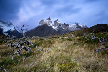 Torres del Paine, Patagonia 绘画 标题为“Torres del Paine, P…” 由Sergey Agapov, 原创艺术品, 数码摄影