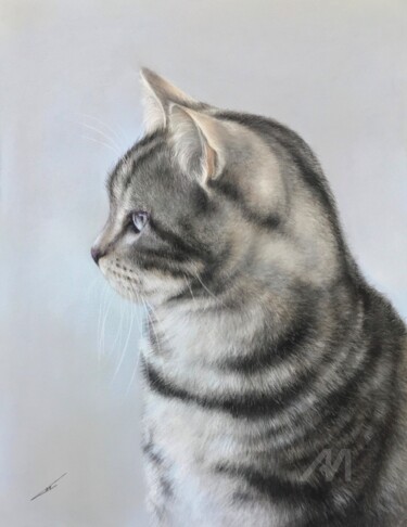 图画 标题为“Tabby” 由Irene_art, 原创艺术品, 粉彩