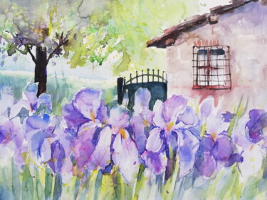 Painting titled "Irises in Chianti" by Sabine Blomqvist, Original Artwork, Watercolor