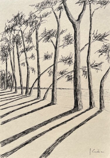 图画 标题为“Cap Coz encre pigme…” 由Frédéric Cadiou, 原创艺术品, 墨