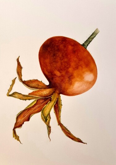 绘画 标题为“Rosehip” 由Olga Poruchikova, 原创艺术品, 水彩