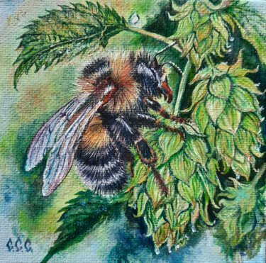 A furry bumblebee on fragrant hops 绘画 标题为“A furry bumblebee o…” 由Sergey Suslov, 原创艺术品, 油 安装在纸板上