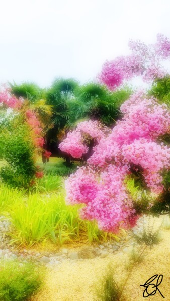 Photography titled "Pink flowers on a g…" by Emma Laflute, Original Artwork, Manipulated Photography