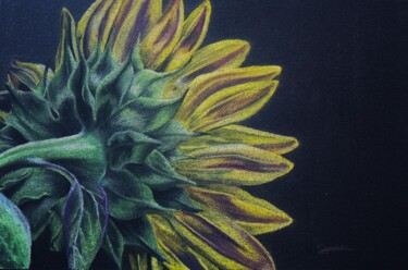 图画 标题为“Tournesol” 由P. Le Sommer, 原创艺术品, 粉彩