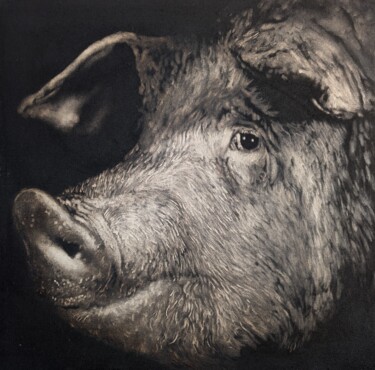 绘画 标题为“Pig” 由Piotr Wojcik, 原创艺术品, 油 安装在木板上