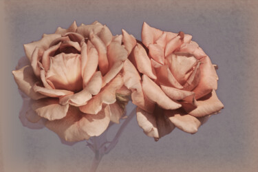 摄影 标题为“Flower design_13896” 由Michael Vdovin, 原创艺术品, 数码摄影