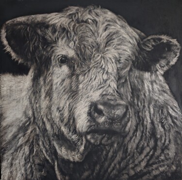 绘画 标题为“Taureau charolais” 由Piotr Wojcik, 原创艺术品, 油 安装在木板上