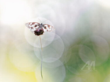 Dans sa bulle
