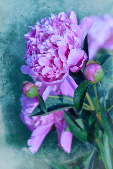 摄影 标题为“Flower design_41636” 由Michael Vdovin, 原创艺术品, 数码摄影
