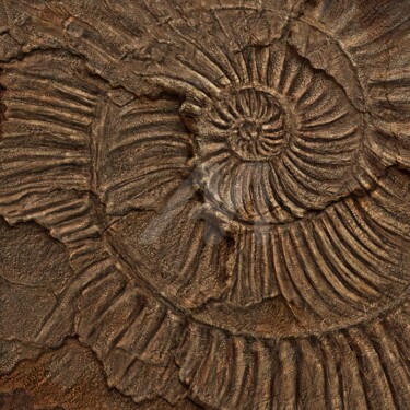 Authentic handmade digital plaster painting _Nautilus2 Digital Arts titled "Authentic handmade…" by Lola Caracola, Original Artwork, 2D Digital Work