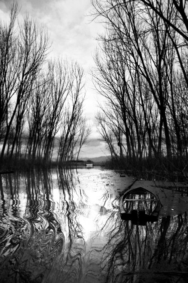 Photography titled "Della sostanza del…" by Alberto Pascale, Original Artwork, Digital Photography