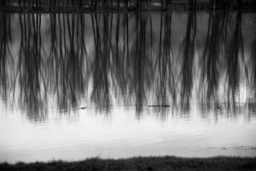 Photography titled "Della sostanza del…" by Alberto Pascale, Original Artwork, Digital Photography