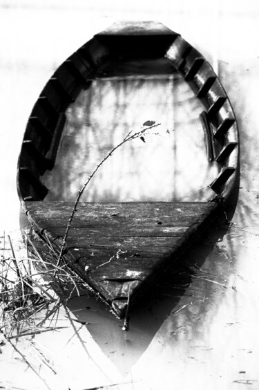 Photography titled "Della sostanza del…" by Alberto Pascale, Original Artwork, Digital Photography