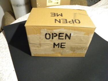雕塑 标题为“Open me 002” 由Irvin Grassi, 原创艺术品, 纸板 安装在纸板上