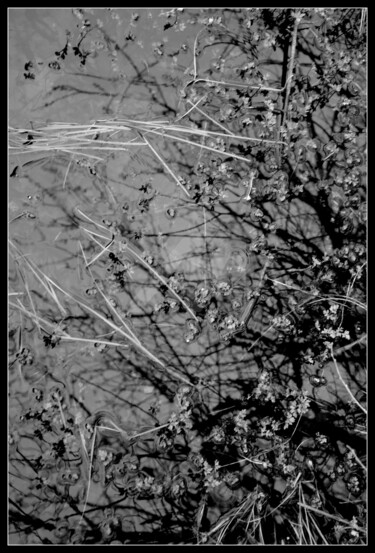 Photographie intitulée "Inondation" par Frederic Hodiesne, Œuvre d'art originale, Photographie numérique