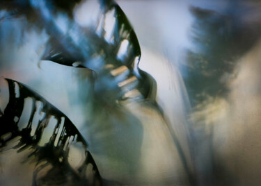 "Folhagem oculta" başlıklı Fotoğraf Kiara Kopke tarafından, Orijinal sanat, Dijital Fotoğrafçılık