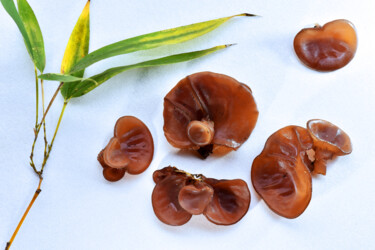 "Champignons noirs (…" başlıklı Fotoğraf Hoang Cong Minh (Minh Hoang) tarafından, Orijinal sanat, Fotoşopsuz fotoğraf