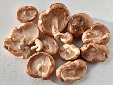 "Champignons - Shiit…" başlıklı Fotoğraf Hoang Cong Minh (Minh Hoang) tarafından, Orijinal sanat, Fotoşopsuz fotoğraf