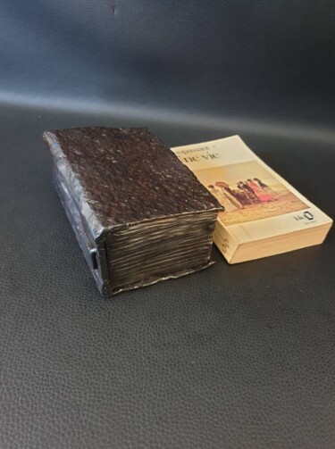 Sculpture titled "Livre" by Sandrine Plumard, Original Artwork, Metals