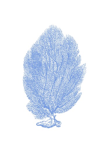 数字艺术 标题为“Blue Sea Fan Coral…” 由春宇 关, 原创艺术品, AI生成的图像 安装在木板上